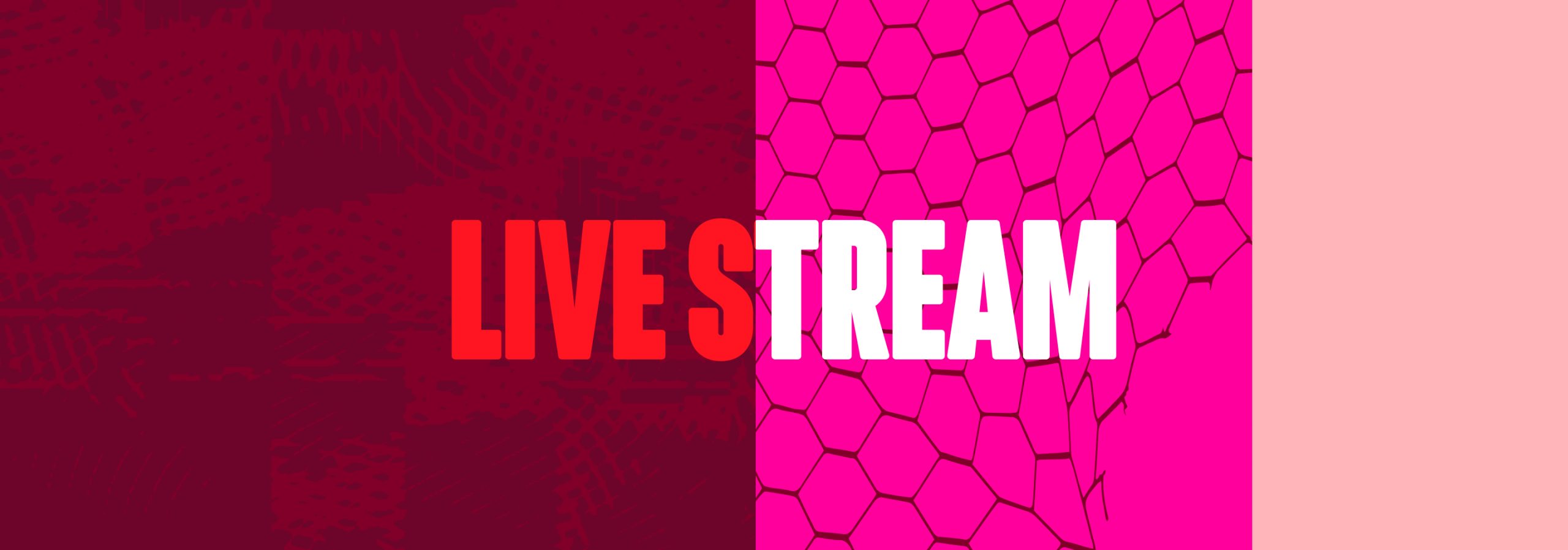 LIVE STREAM
